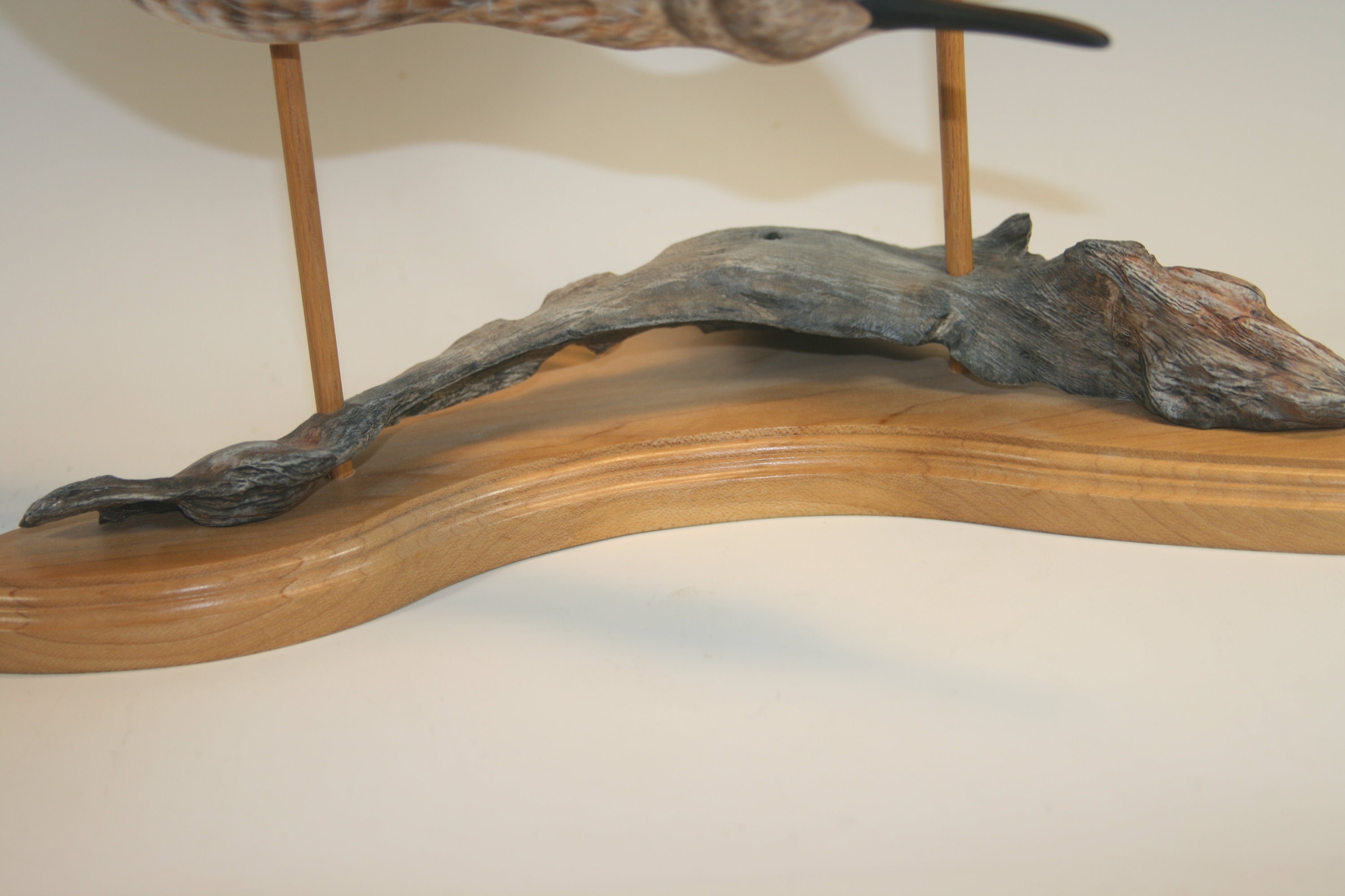 Dowitcher Pair — view 3