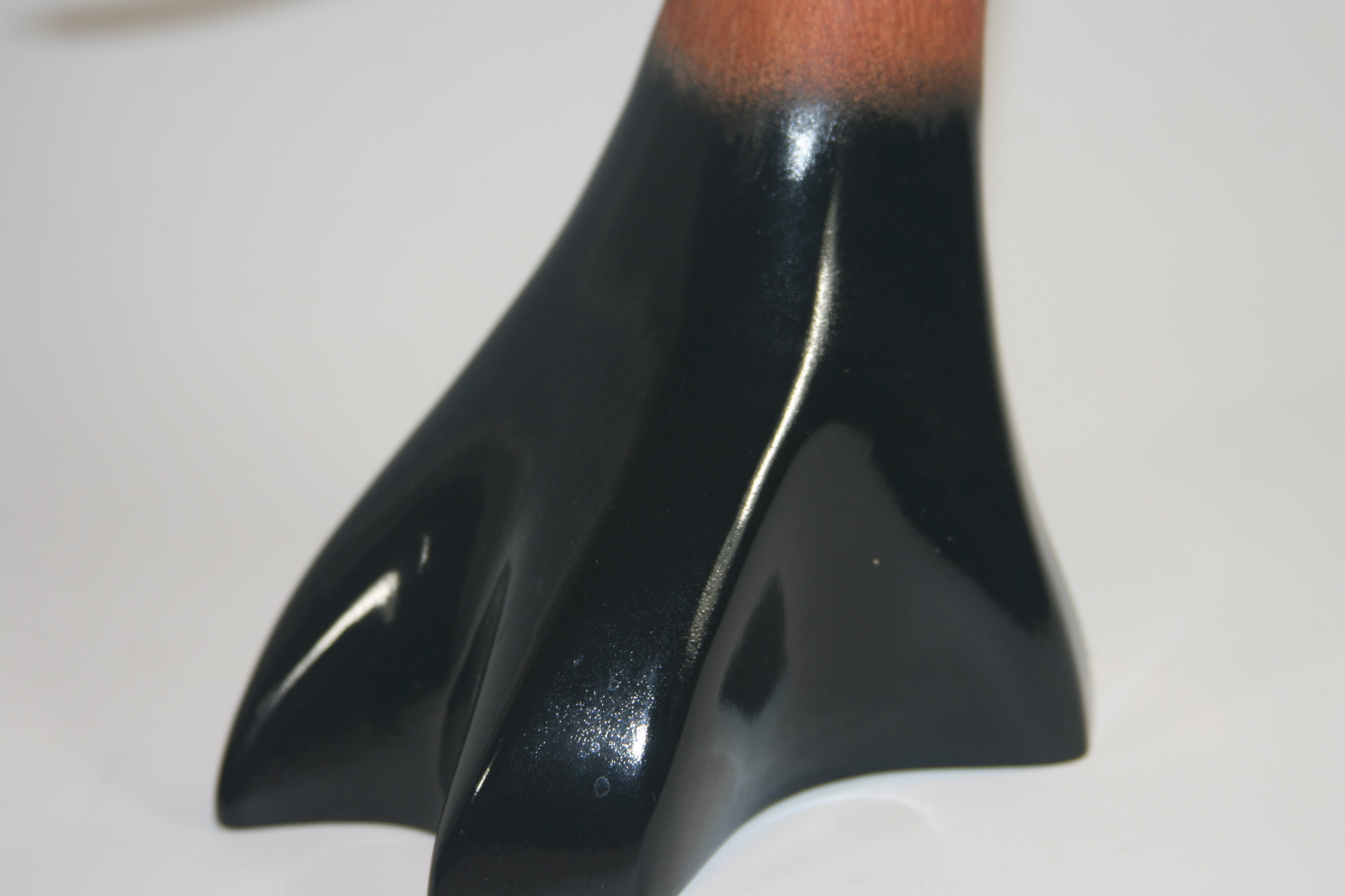 American Avocet Bust — view 2