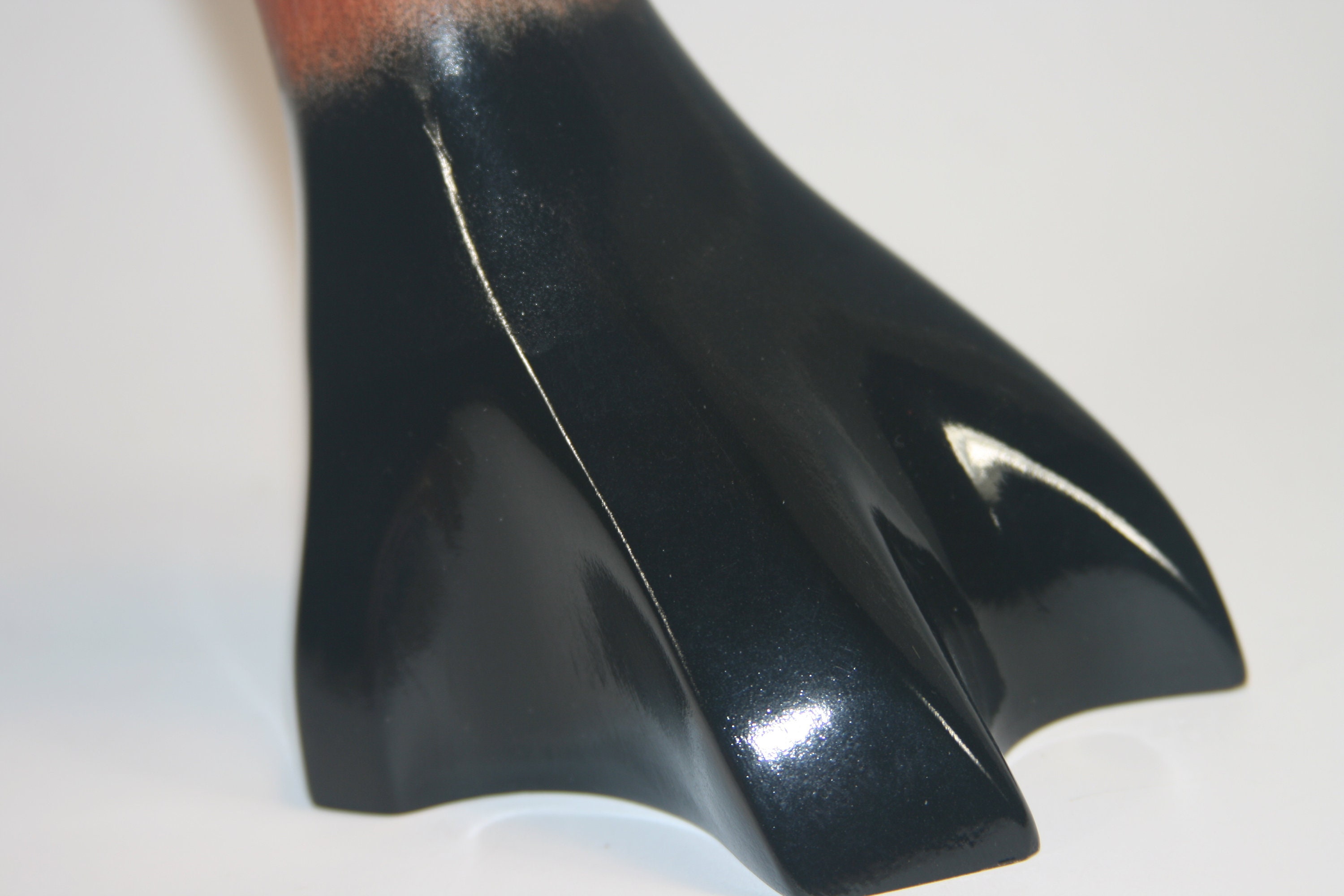 American Avocet Bust — view 4