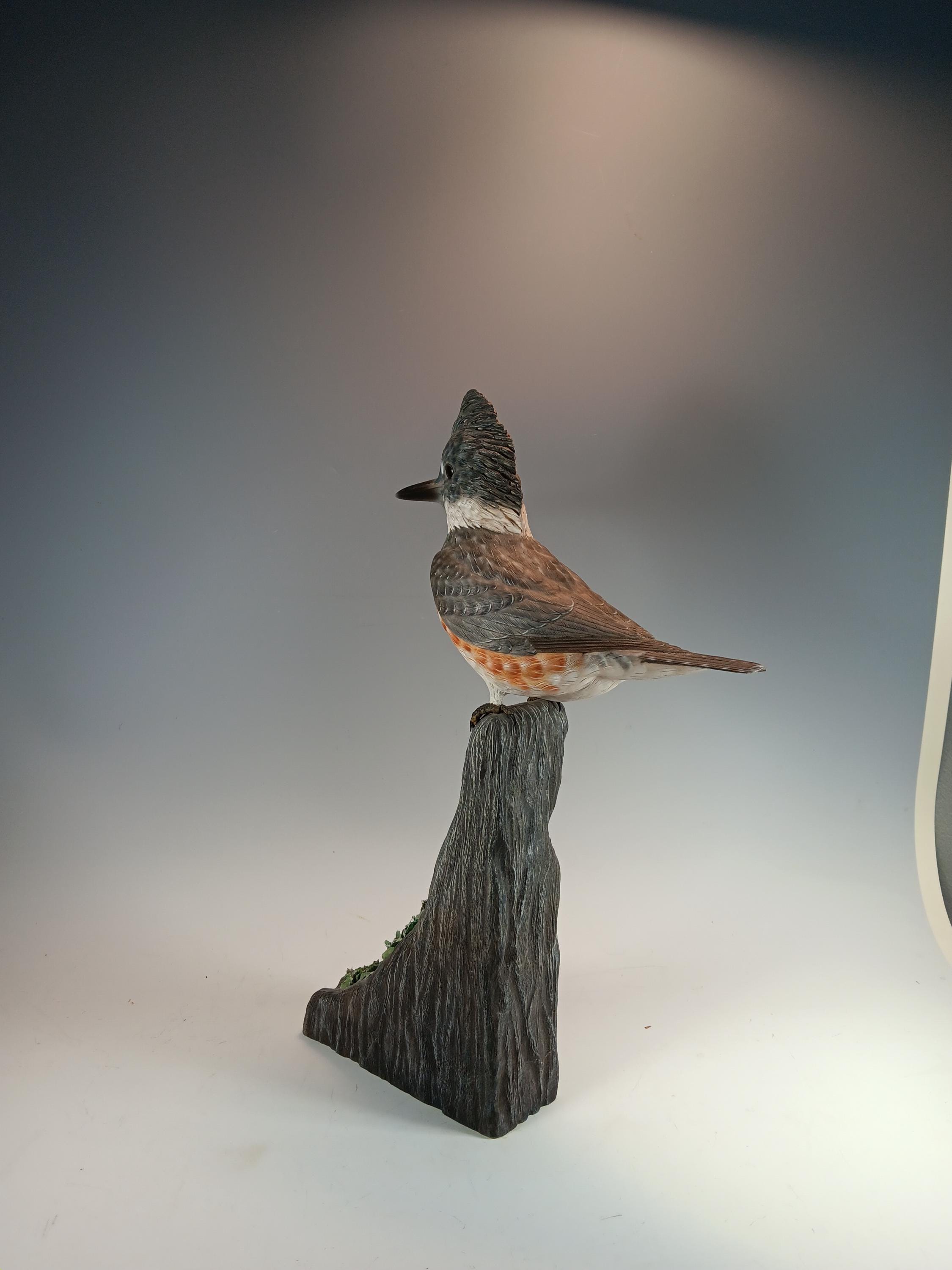 Belted Kingfisher (Driftwood Base) — view 3