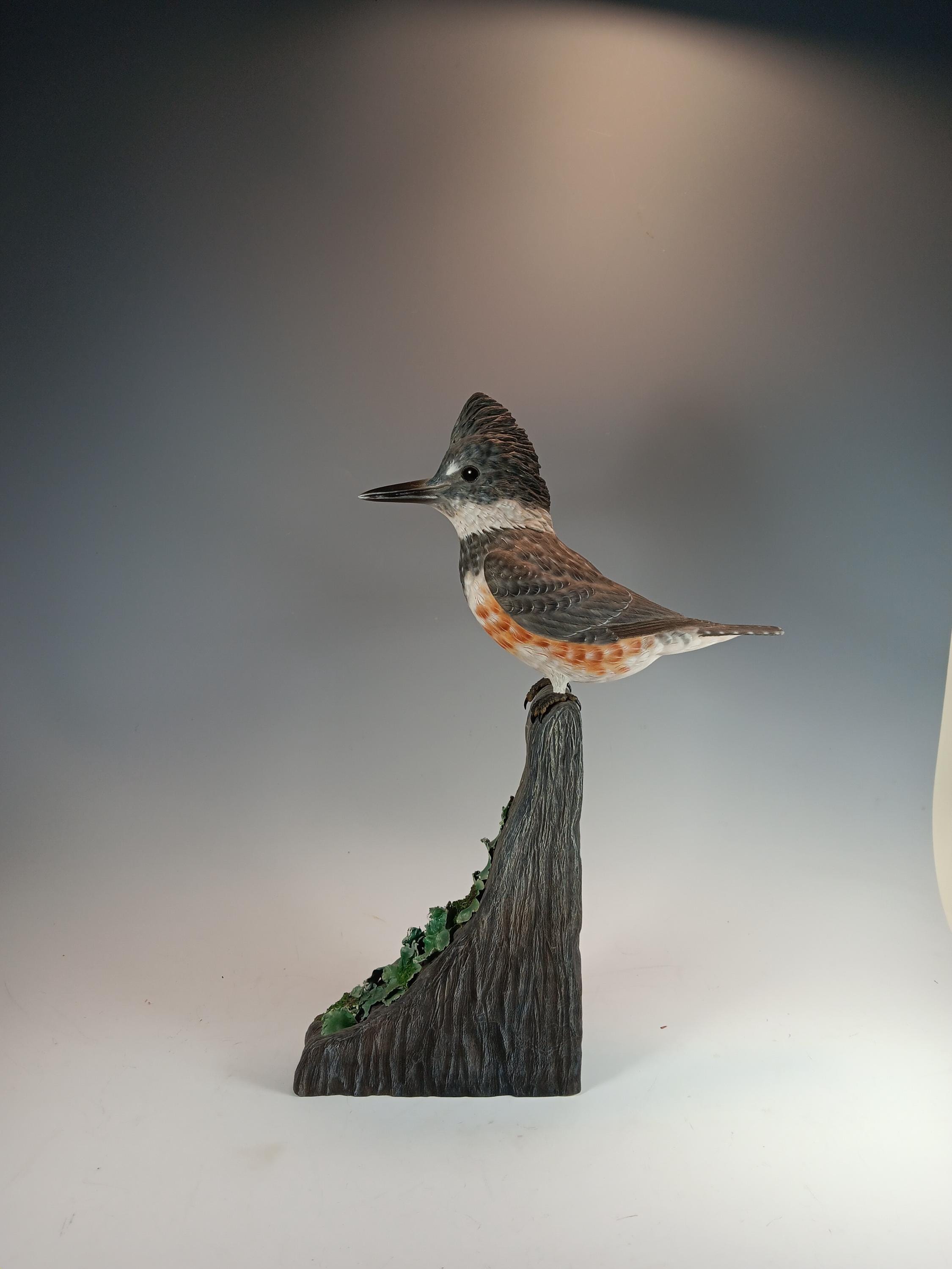 Belted Kingfisher (Driftwood Base) — view 4