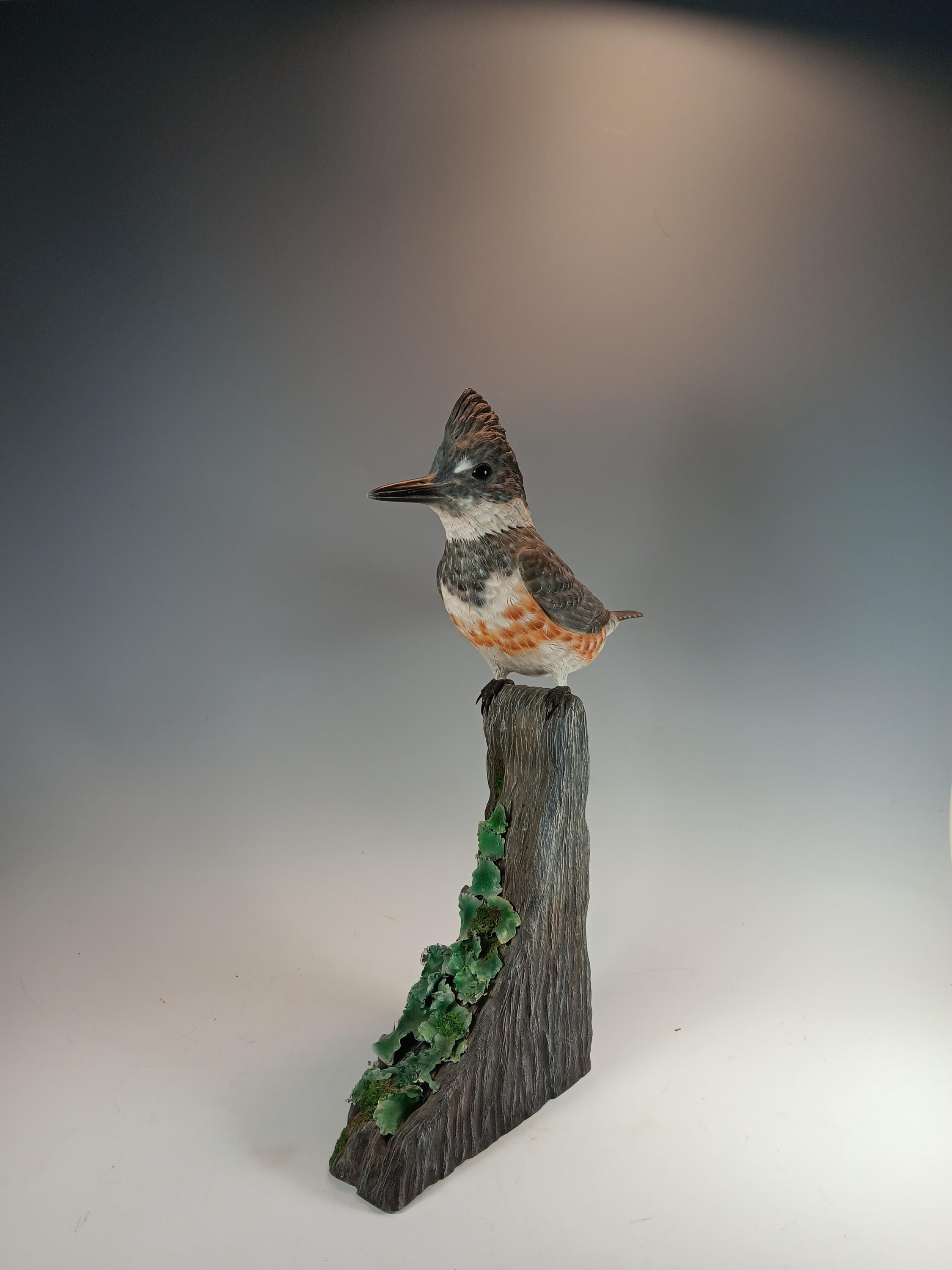 Belted Kingfisher (Driftwood Base) — view 5