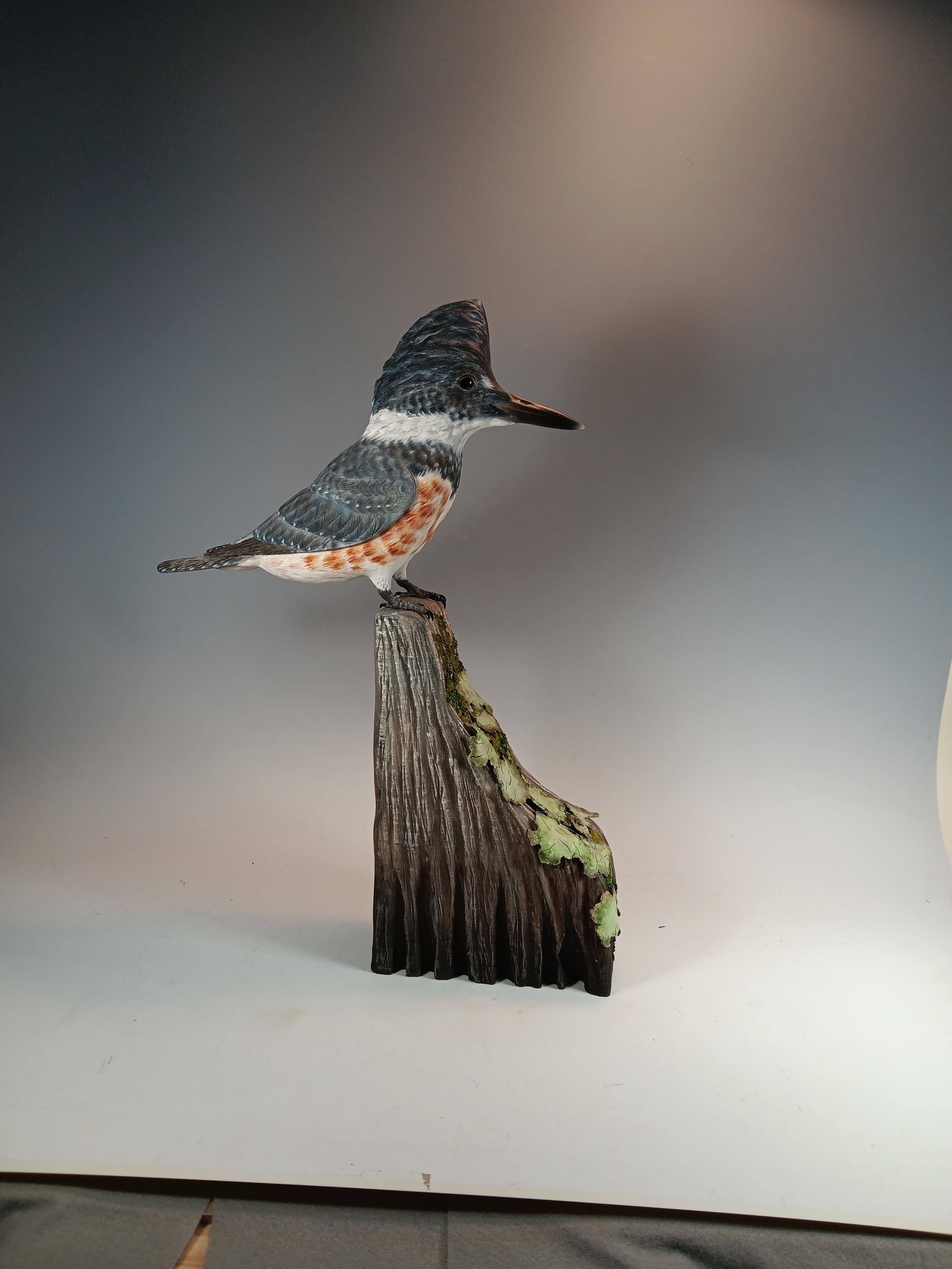 Belted Kingfisher (Lichen Base) — hand carved wildfowl sculpture by Edward H. Legg