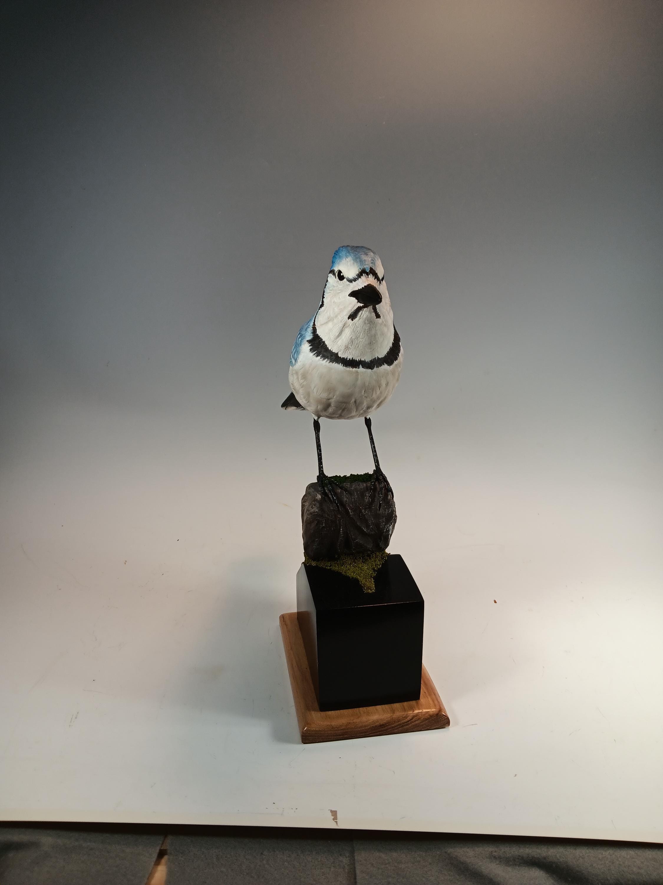 Blue Jay (Moss Base) — view 3