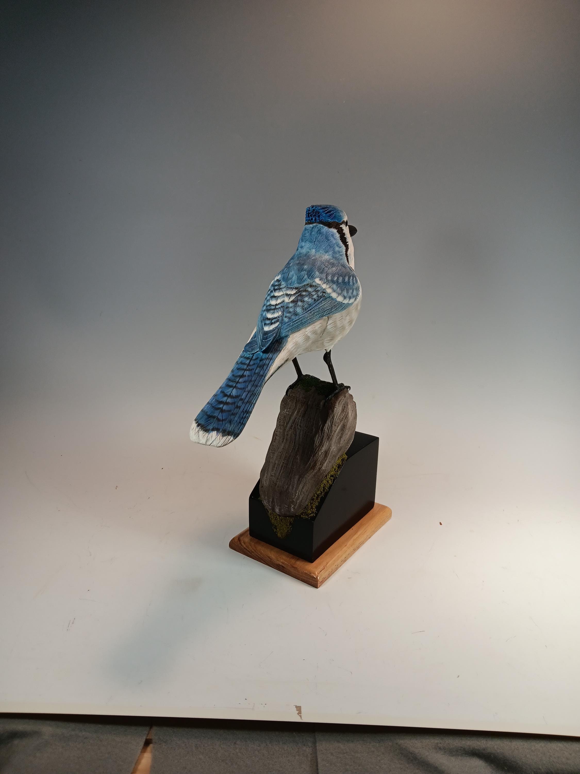 Blue Jay (Moss Base) — view 5