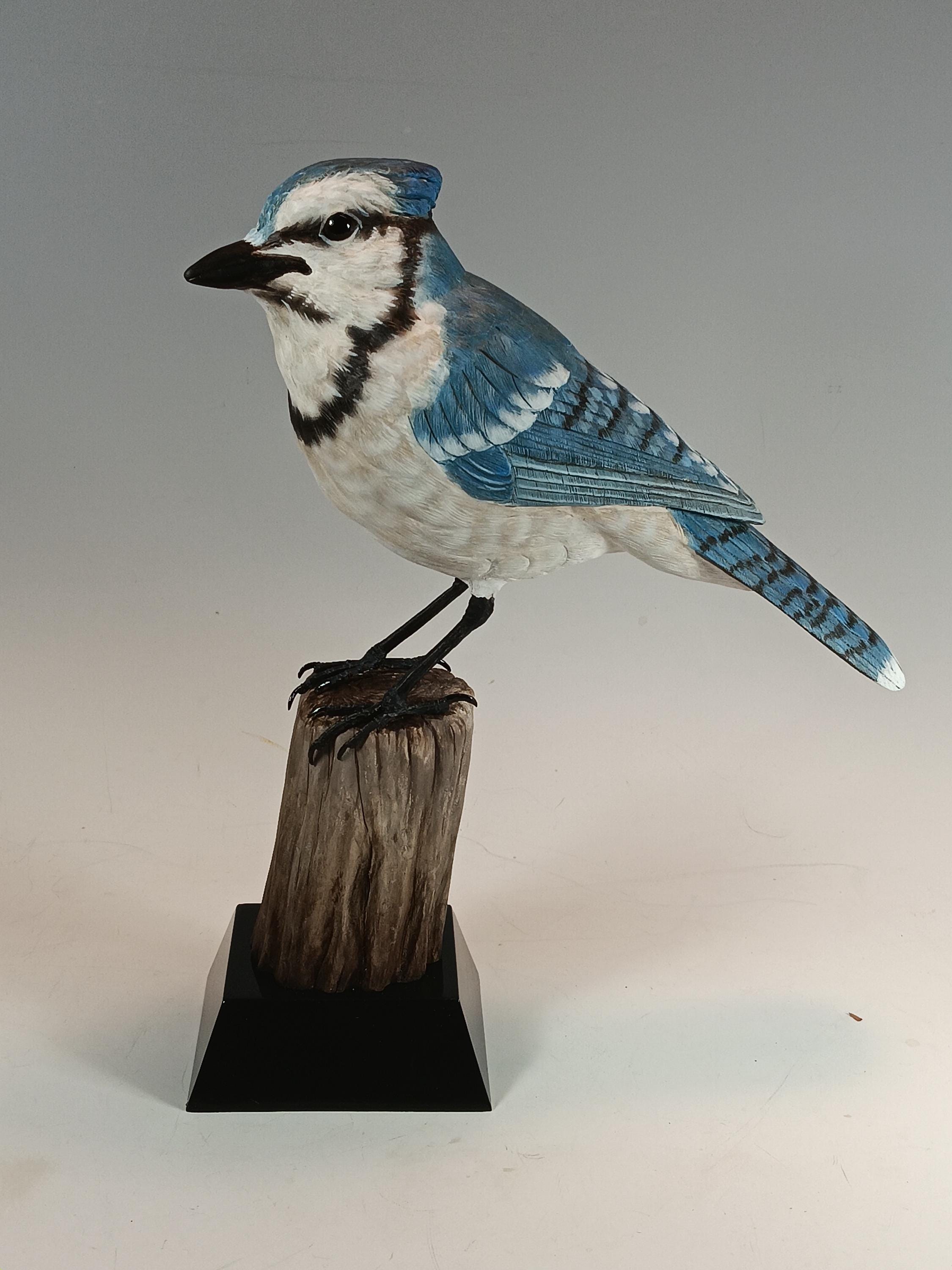 Blue Jay (Stump Base) — hand carved wildfowl sculpture by Edward H. Legg