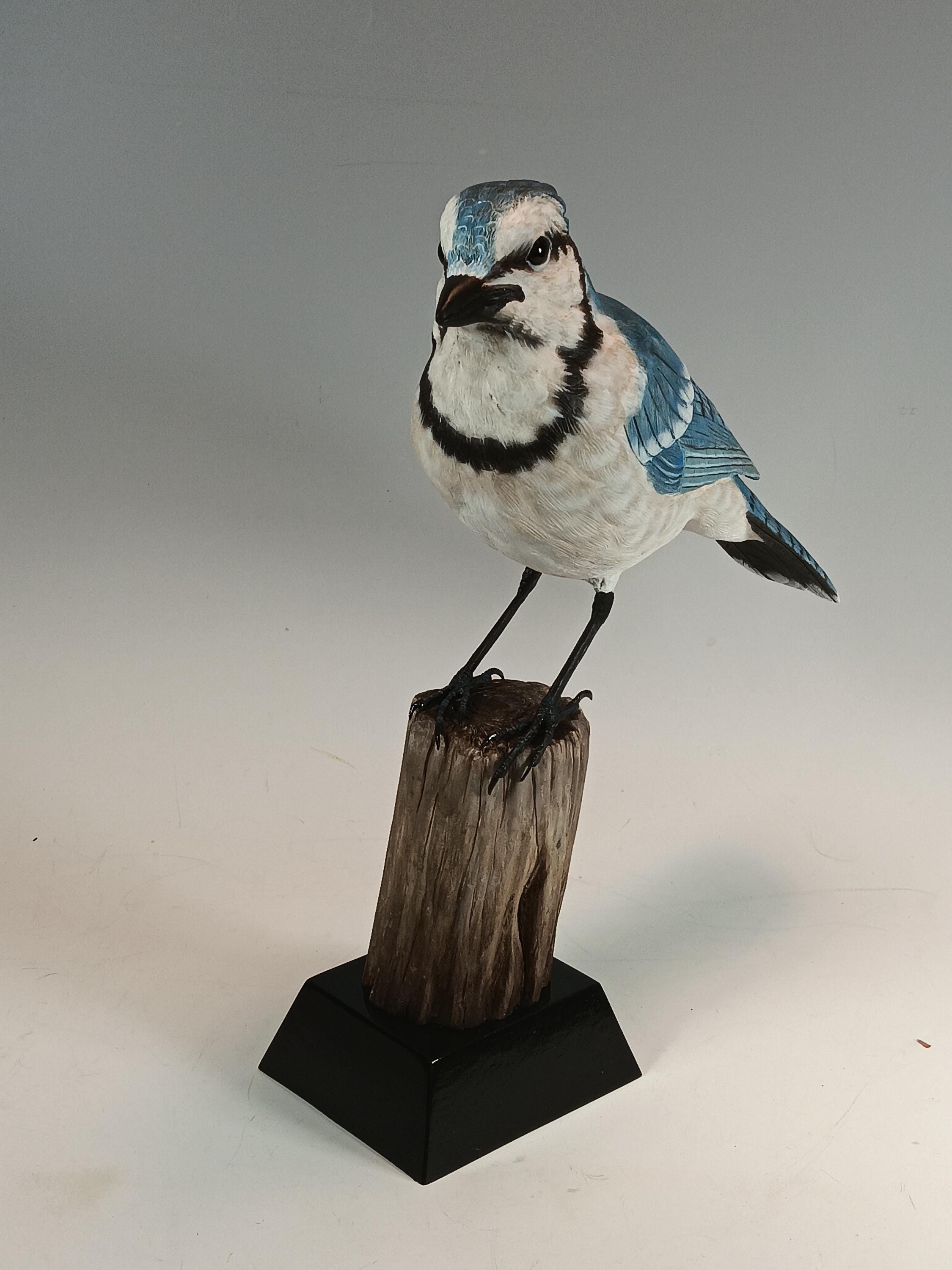 Blue Jay (Stump Base) — view 2