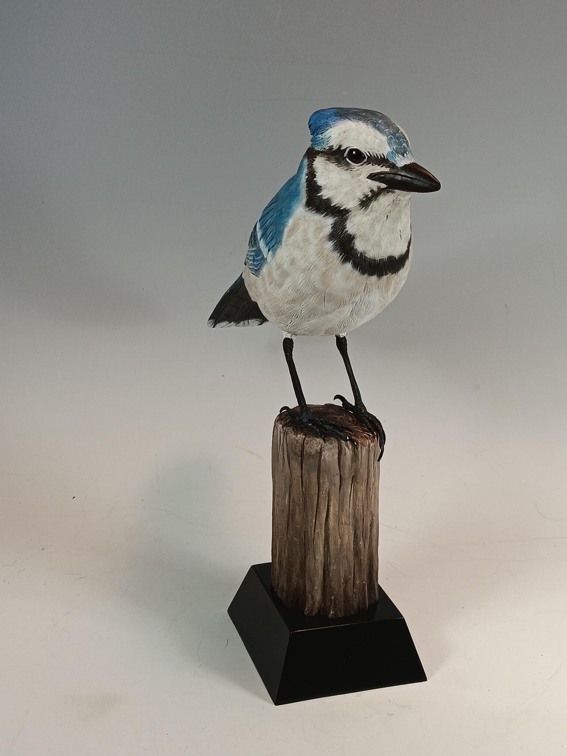 Blue Jay (Stump Base) — view 3