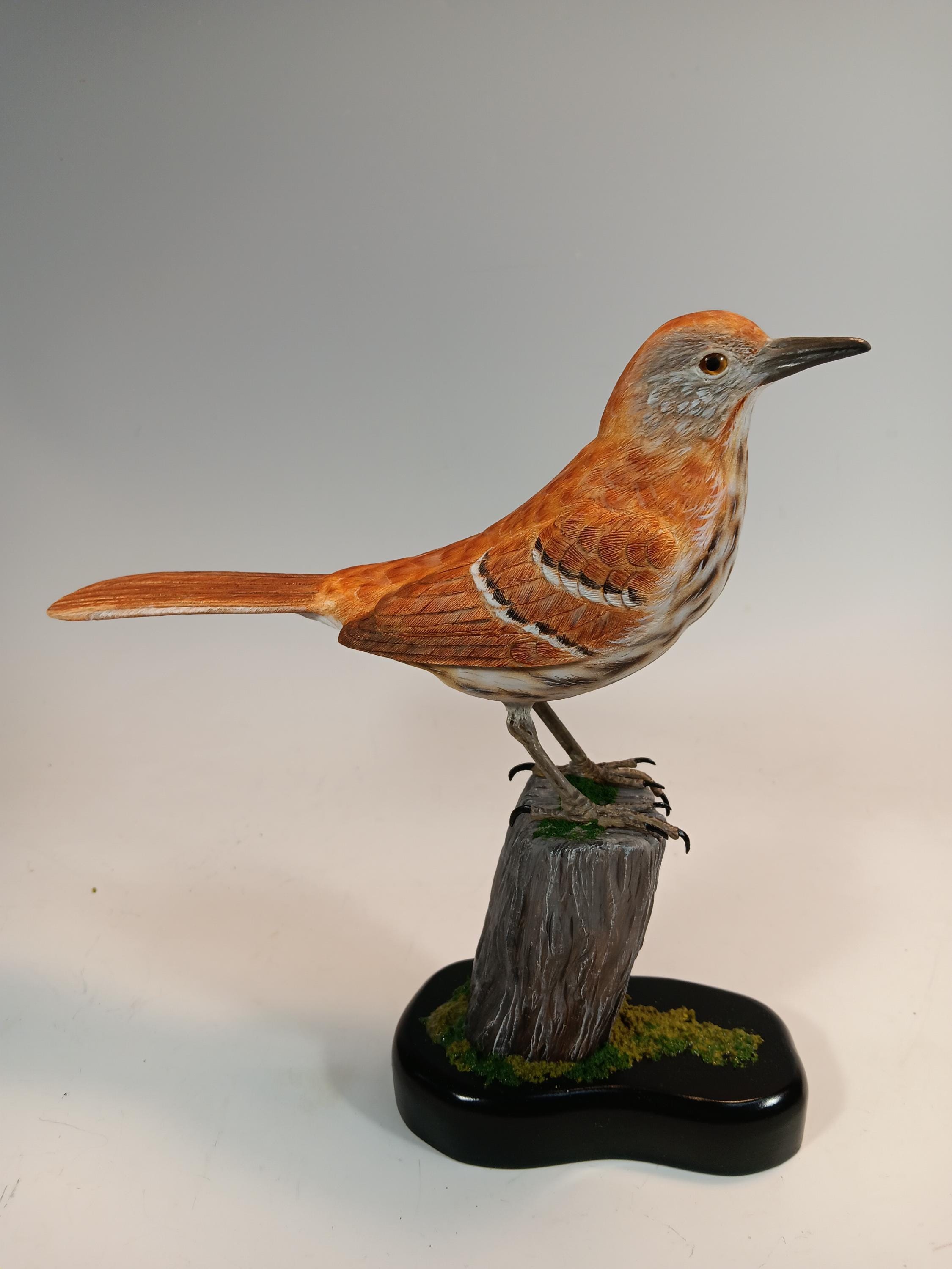 Brown Thrasher (Full Size) — hand carved wildfowl sculpture by Edward H. Legg