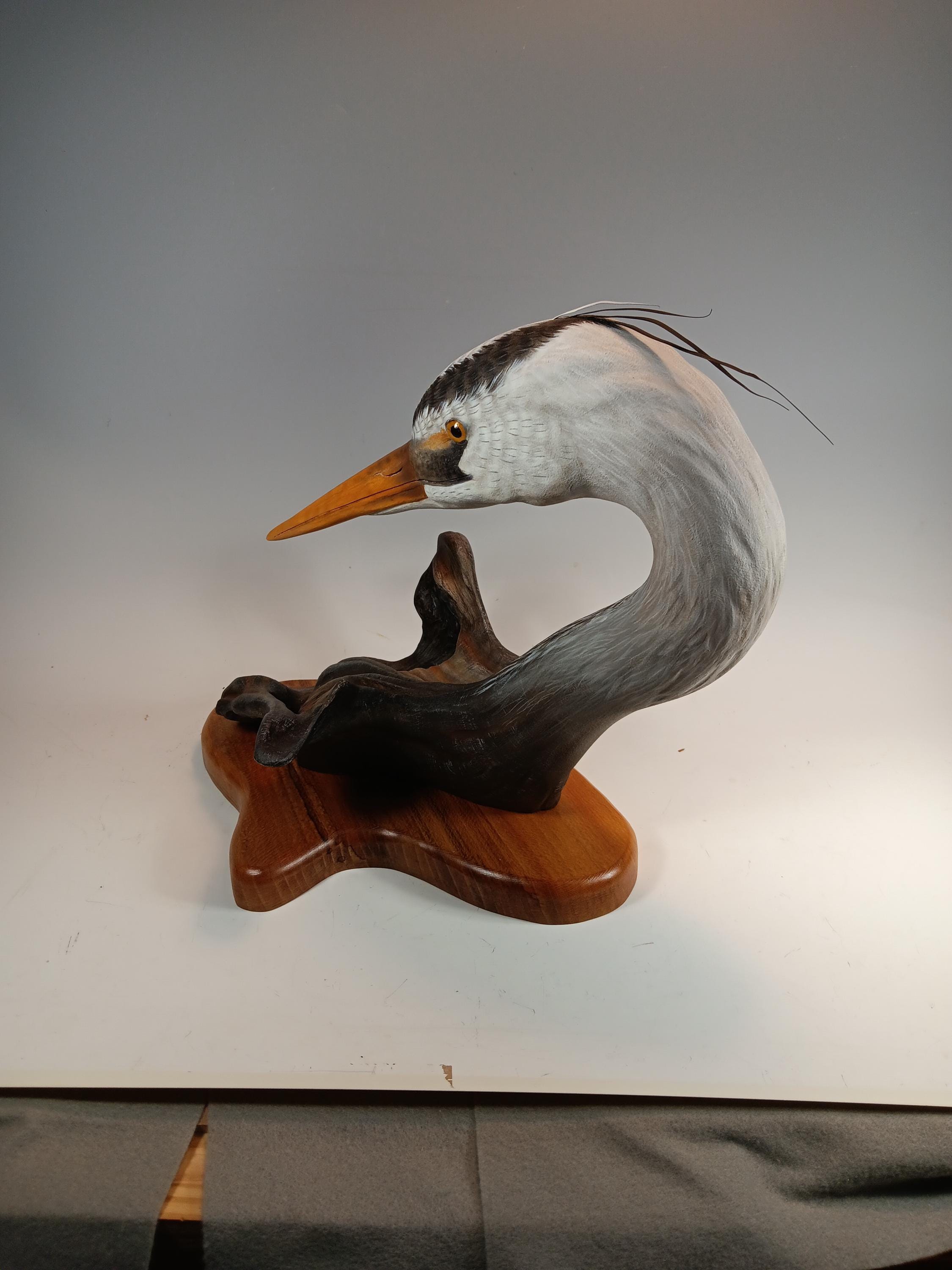 Great Blue Heron Bust — view 5