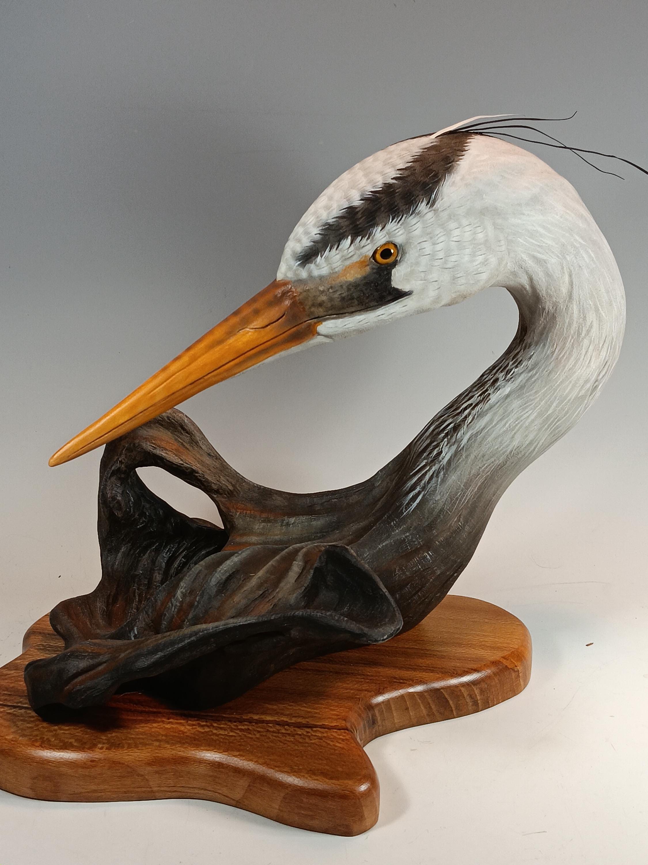 Great Blue Heron Bust — view 7
