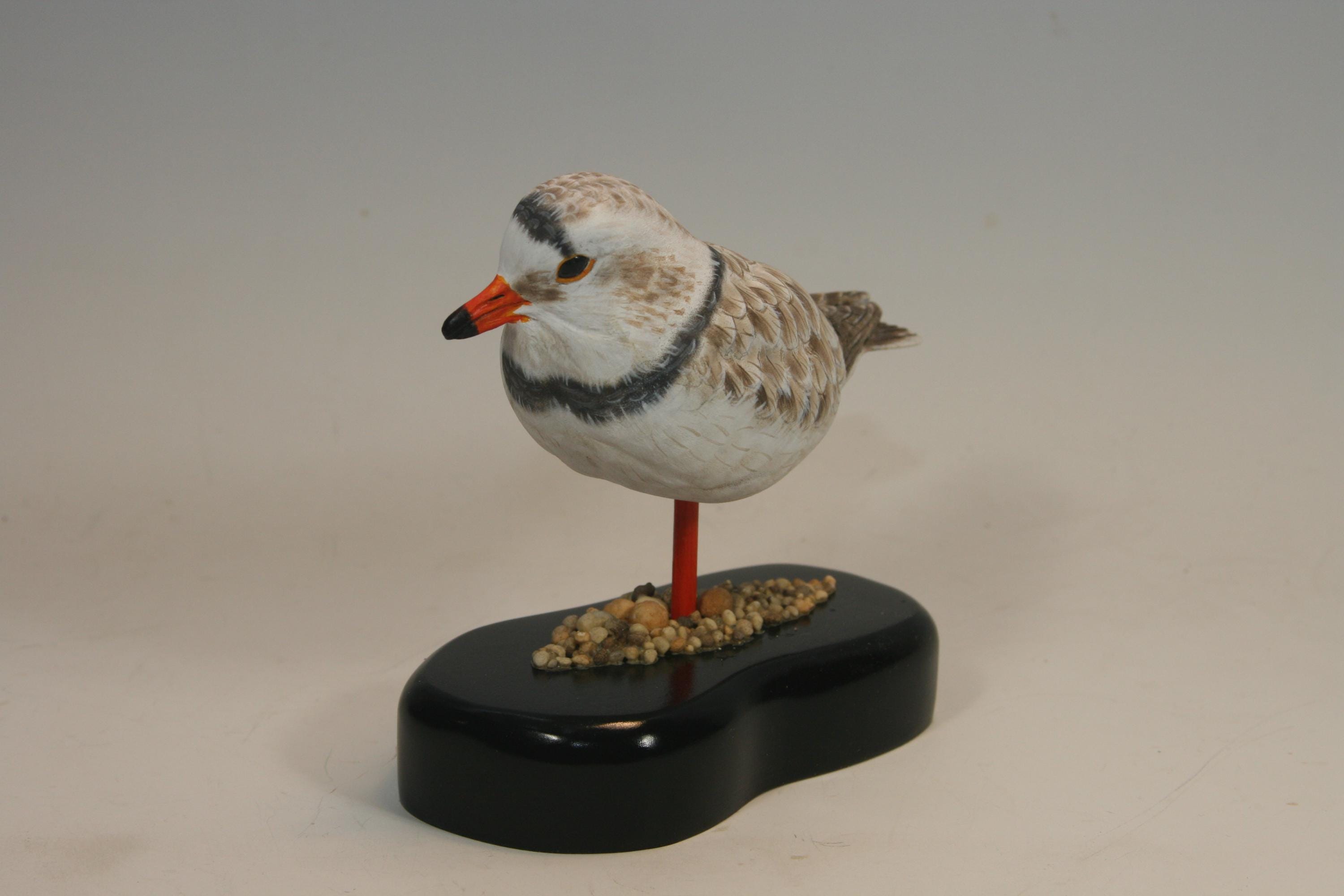 Piping Plover (Decoy) — view 3