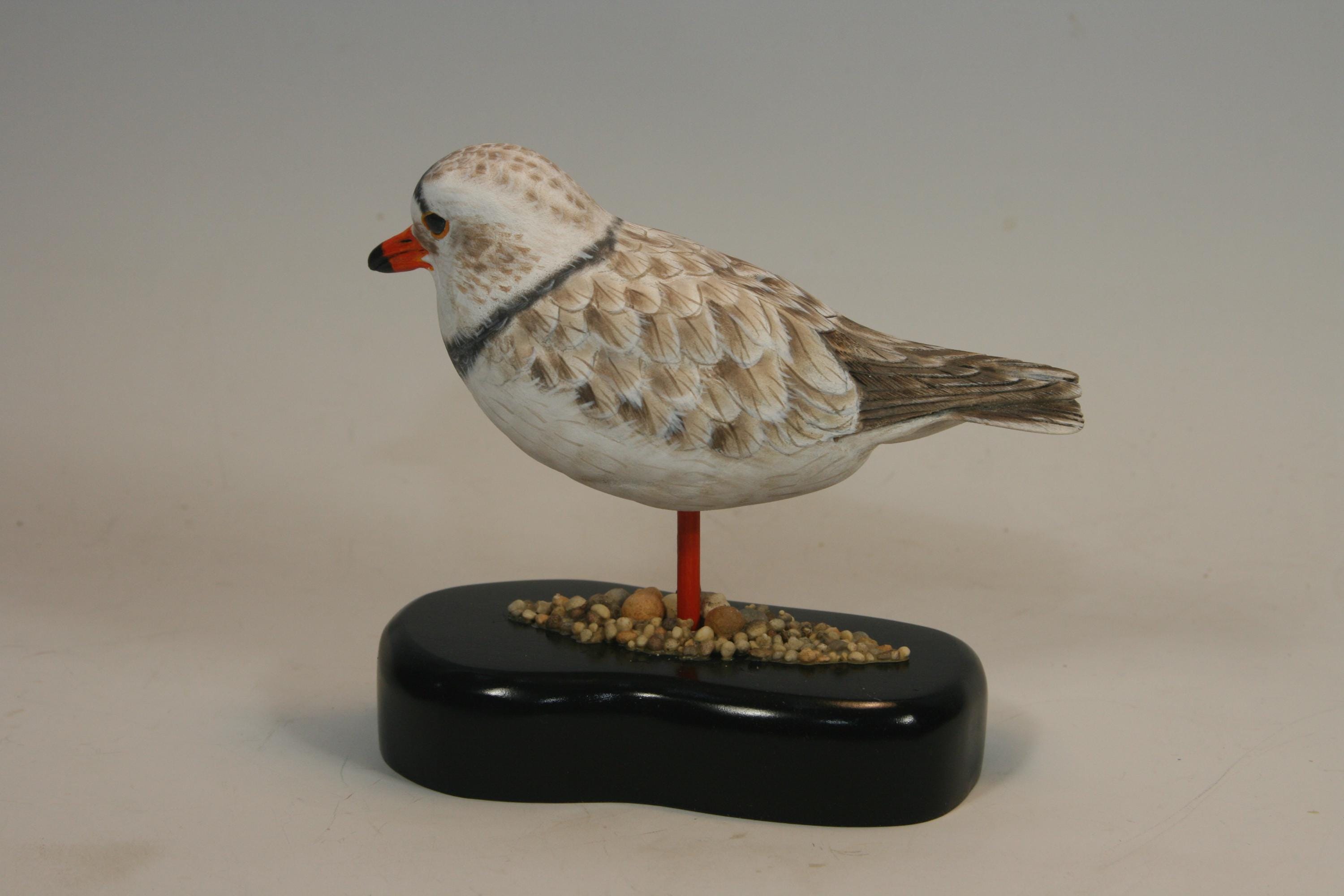 Piping Plover (Decoy) — view 4