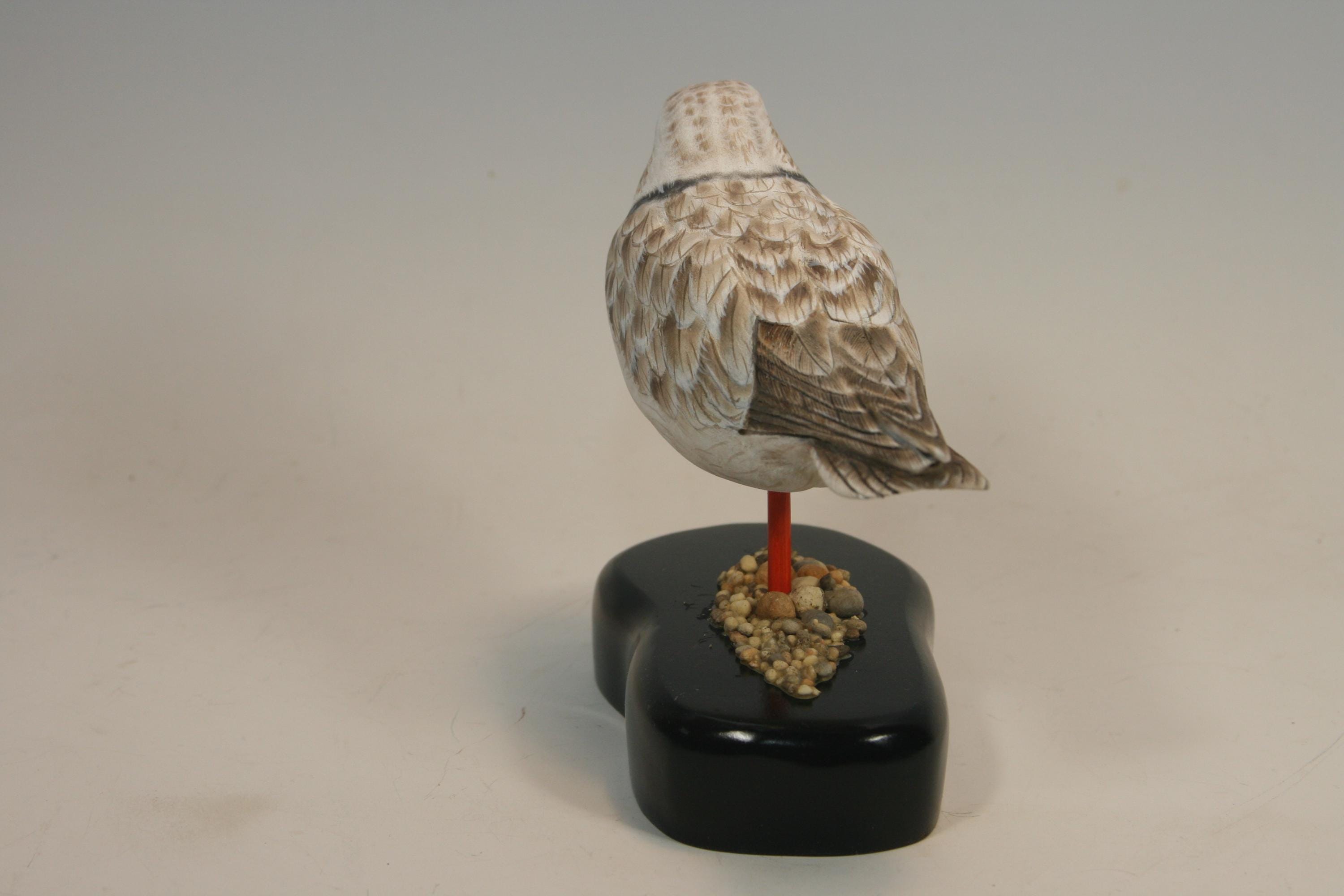 Piping Plover (Decoy) — view 5