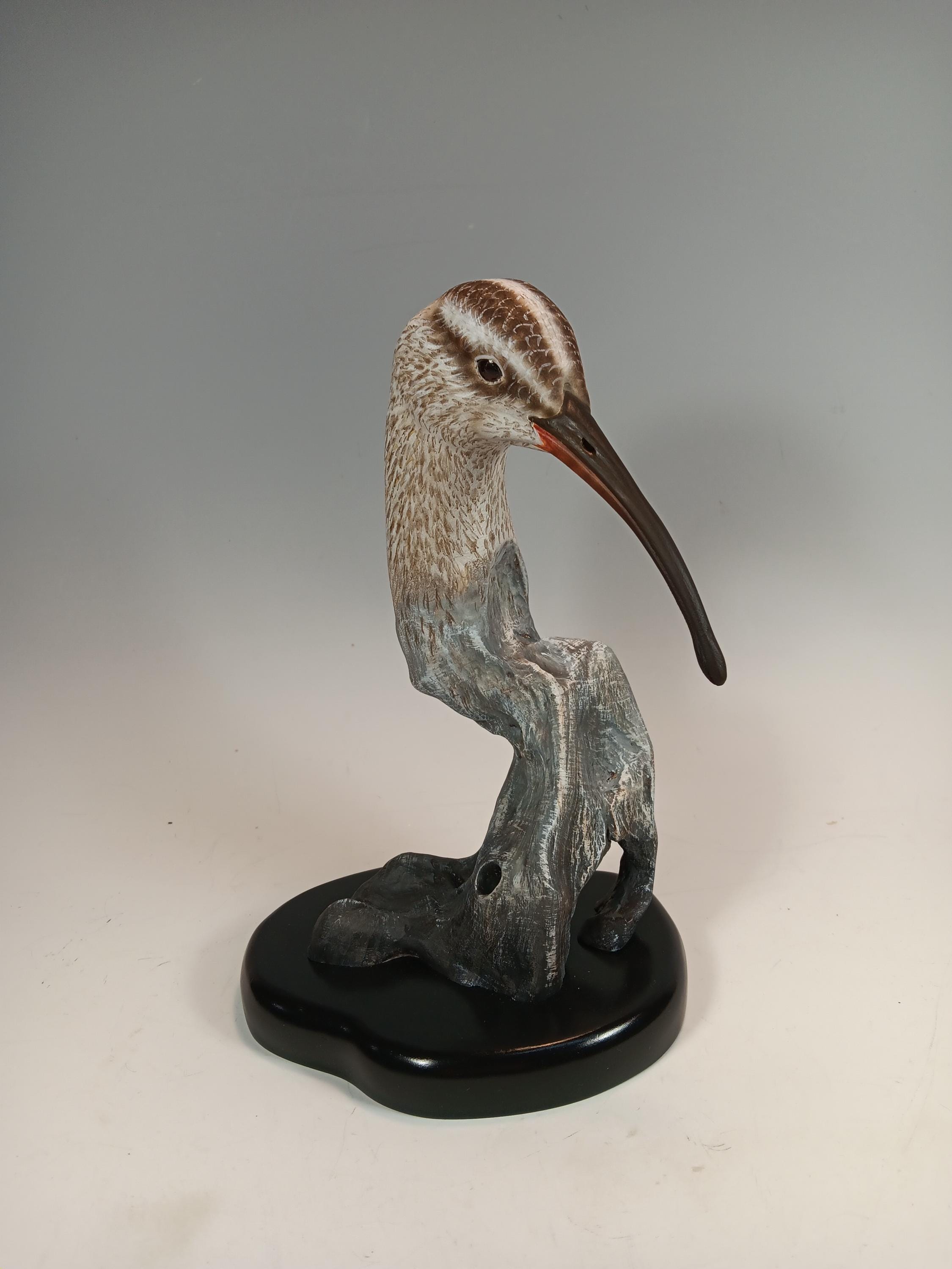 Whimbrel Bust — hand carved wildfowl sculpture by Edward H. Legg