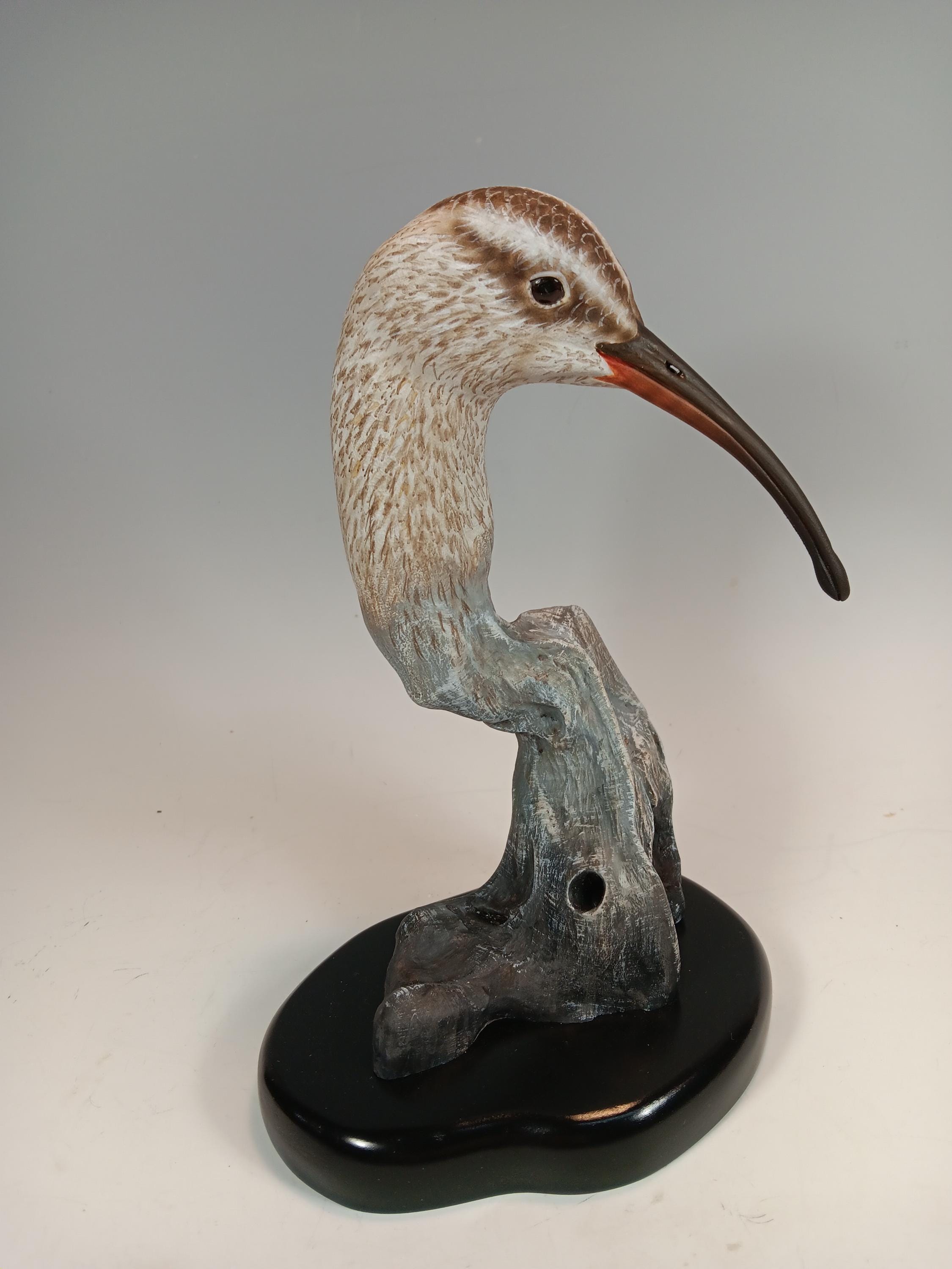 Whimbrel Bust — view 2